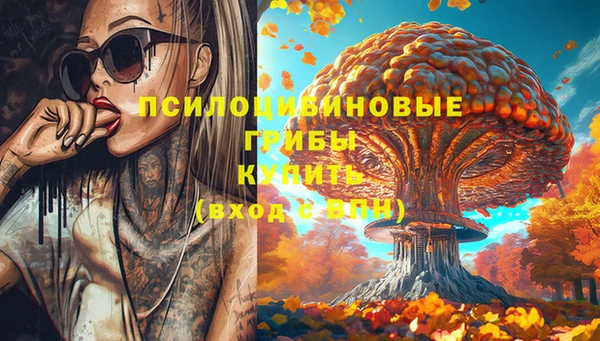 крисы Богданович