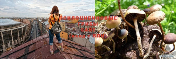 меф Беломорск