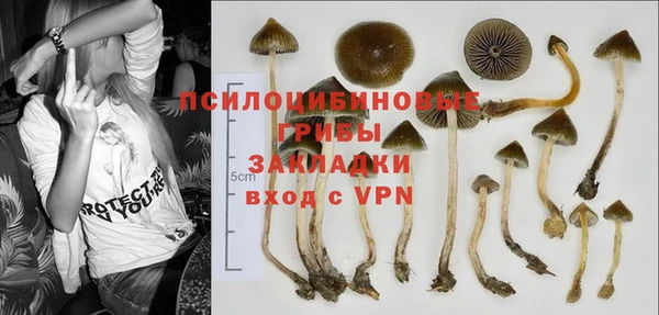 героин Белокуриха